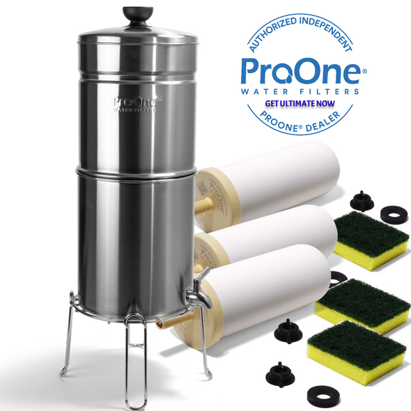 Proone Big Plus Brushed Stainless steel with 3 G3.0 9" Filter Element