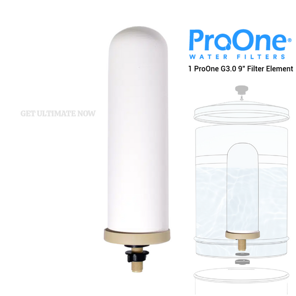 ProOne 9 inch G3.0 Filter per pair