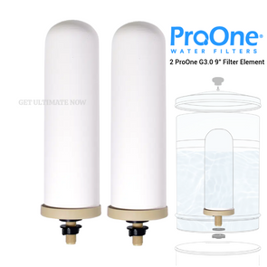 ProOne - best proone 9-inch G3.0 water/ flouride filter elements/ filtration system