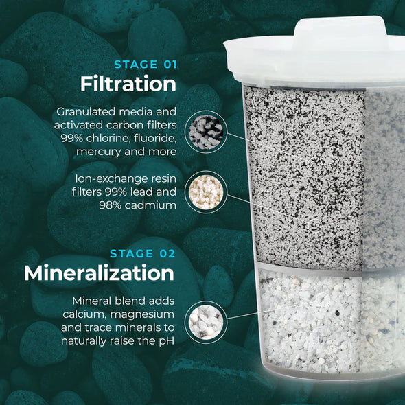Santevia MINA FLUORIDE Filter 3 Pack