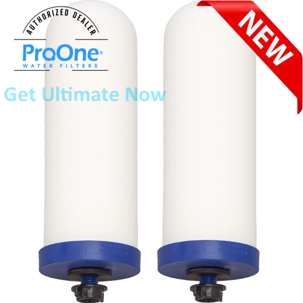 ProOne - best proone 9-inch G2.0 water/ flouride filter elements/ filtration system